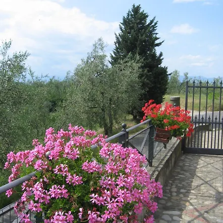 Agriturismo Villani Poderi Nesti & Cupoli Bauernhof *
