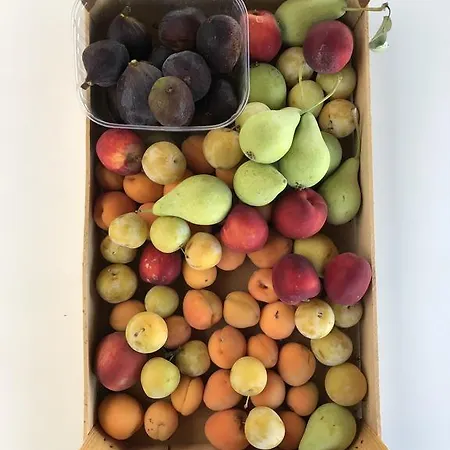 Villani Poderi Nesti & Cupoli בית חווה
